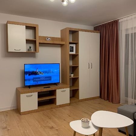 Sunny Apartment In Suceava Exterior foto